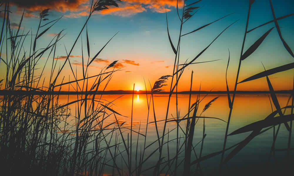 Lake & Pond Management Maintenance Waukesha WI