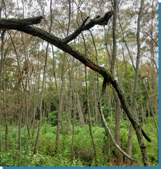 Waukesha Land Management Services near me