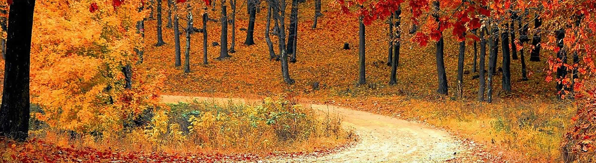 Wisconsin Land Management
