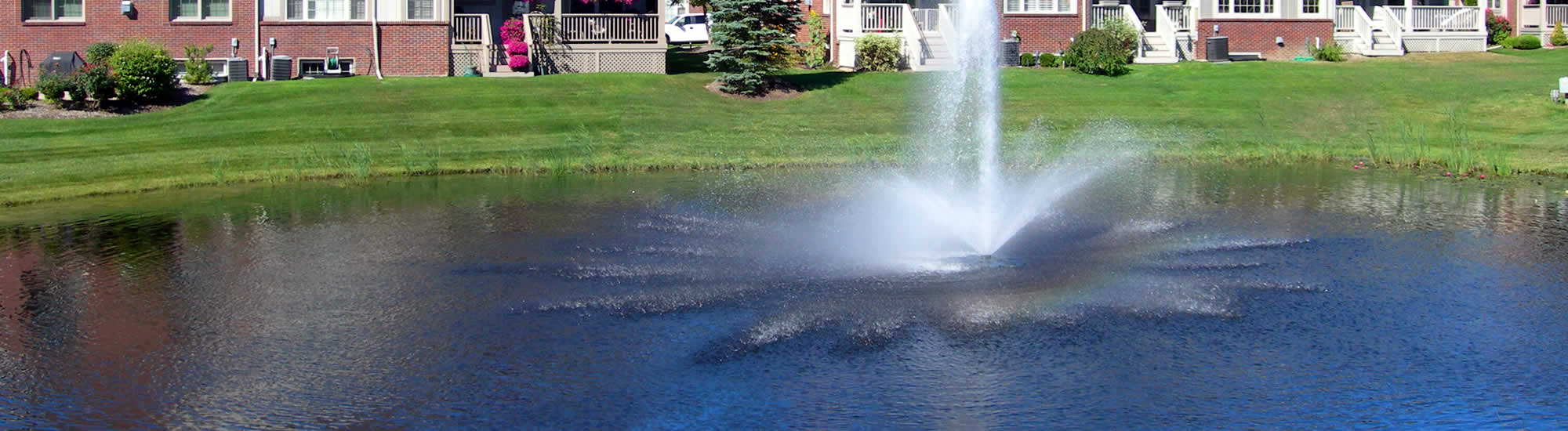 Wisconsin Pond and Lake Management